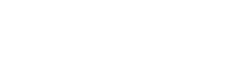 logo mode